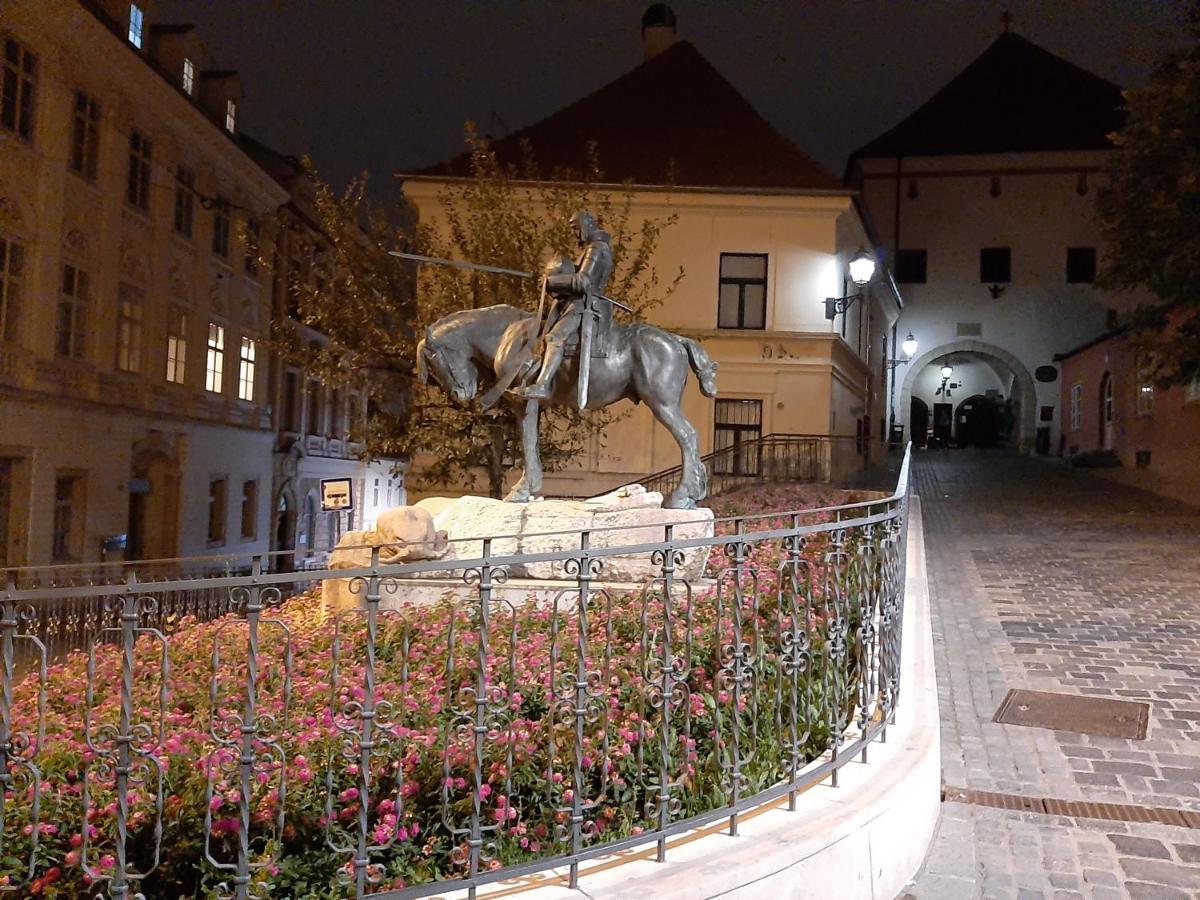 Apartment Azalea Загреб Екстериор снимка